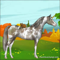 Horse Color:White Spotted Liver Red Dun Mushroom Sabino Brindle