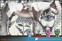 Horse Color:Platinum Black Sabino Appaloosa Rabicano  and Platinum Liver Chestnut Tobiano Rabicano 