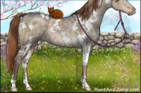 Horse Color:White Spotted Liver Red Dun Ice Brindle