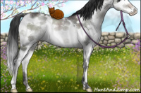 Horse Color:White Spotted Brown Ice Dun Mushroom Sabino Splash Rabicano