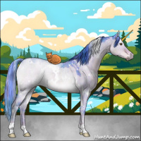 Horse Color:Watercolor Plaid  White Spotted Liver Red Dun Rabicano 