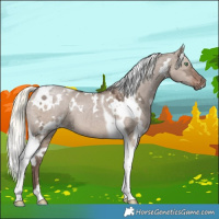 Horse Color:White Spotted Liver Red Dun Ice Mushroom Tobiano 