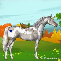 Horse Color:White Spotted Liver Red Dun Ice Mushroom Brindle
