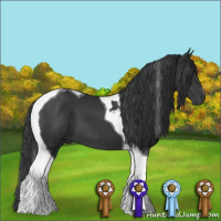 Horse Color:Black Tobiano 