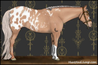 Horse Color:Silver Sable Champagne Near Leopard