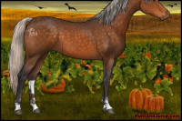 Horse Color:Silver Buckskin Sabino 