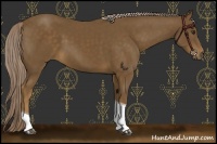 Horse Color:Chocolate Palomino Tobiano