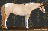 Horse Color:Red Roan Pearl Tobiano Frame