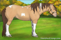 Horse Color:Sable Cream Champagne Tobiano 