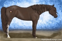 Horse Color:Liver Chestnut  and Liver Chestnut 