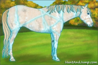 Horse Color:Thunderstruck Red Ice Roan Splash 