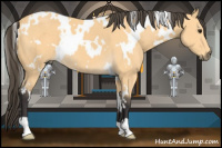 Horse Color:White Spotted Buckskin