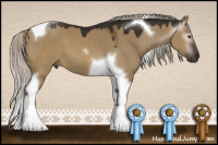Horse Color:Gray Silver Buckskin Dun Mushroom Sabino Tobiano