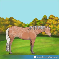 Horse Color:Silver Brown Ice 