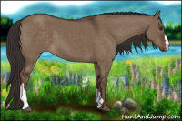 Horse Color:Liver Red Dun 
