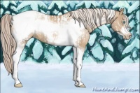 Horse Color:Chocolate Palomino Pearl Tobiano Frame  and Chocolate Palomino Pearl Tobiano Frame 