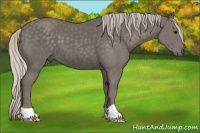 Horse Color:Silver Black 