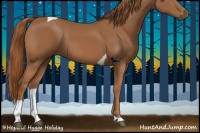 Horse Color:Chestnut Tobiano 