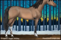 Horse Color:Bay Dun Tobiano 