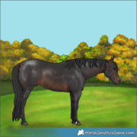 Horse Color:Brown 