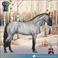 Horse Color:Blue Roan 