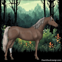 Horse Color:Silver Black 
