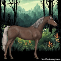 Horse Color:Silver Black 