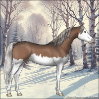 Horse Color:Liver Chestnut Mushroom Splash 
