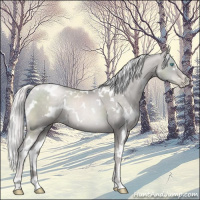 Horse Color:Platinum White Spotted Chocolate Palomino Pearl 