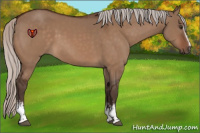 Horse Color:White Spotted Silver Brown Dun Rabicano