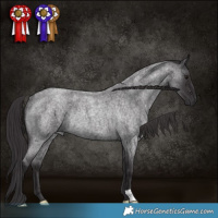 Horse Color:Smoky Blue Roan Rabicano