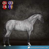 Horse Color:Smoky Blue Roan Rabicano 