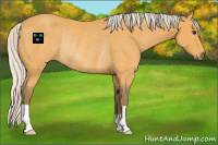 Horse Color:Silver Buckskin Rabicano