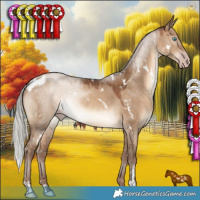 Horse Color:Gray White Spotted Silver Sable Champagne Dun Mushroom 
