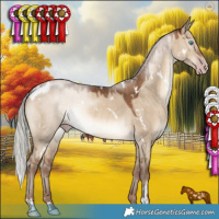 Horse Color:Gray White Spotted Silver Sable Champagne Dun Mushroom 