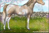 Horse Color:Red Roan Pearl Tobiano Frame
