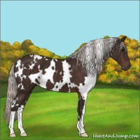 Horse Color:White Spotted Silver Brown 