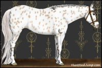 Horse Color:Silver Bay Dun Leopard 