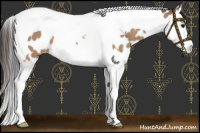 Horse Color:Bay Dun Splash Tobiano Leopard