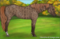 Horse Color:Liver Chestnut  and Liver Red Dun 