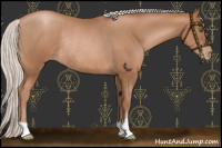 Horse Color:Silver Brown Pearl Rabicano 