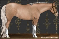 Horse Color:Silver Brown Pearl Rabicano 