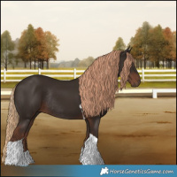 Horse Color:Liver Chestnut Tobiano Rabicano 