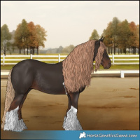 Horse Color:Liver Chestnut Tobiano Rabicano 