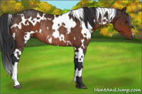 Horse Color:White Spotted Brown Mushroom Rabicano 