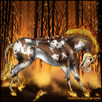 Horse Color:White Spotted Liver Chestnut Splash 