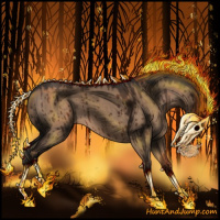 Horse Color:Liver Red Dun Brindle 