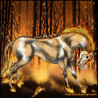 Horse Color:White Spotted Silver Buckskin 