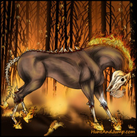 Horse Color:Liver Chestnut Sabino