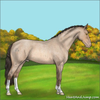 Horse Color:Amber Champagne Roan 
